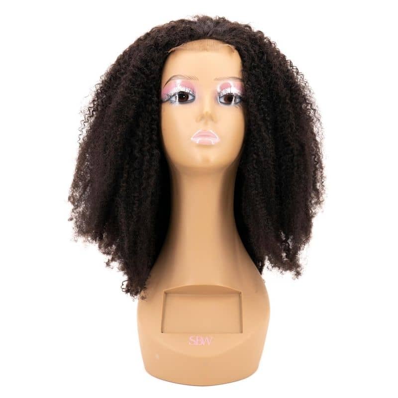Afro Kinky 4x4 Transparent Closure Wig - Lordess Beauty
