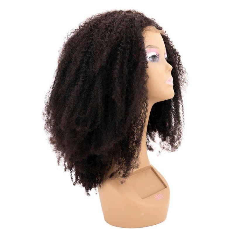 Afro Kinky 4x4 Transparent Closure Wig - Lordess Beauty